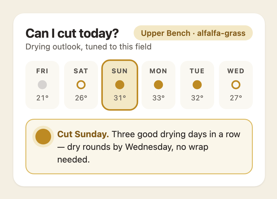 Windrows drying outlook: six day dots with Sunday flagged as the day to cut